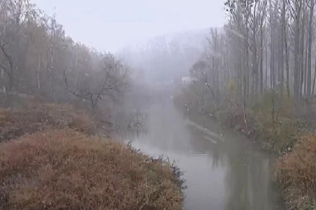 Během honu na divočáky u Odry zemřel muž. Případ vyšetřuje policie