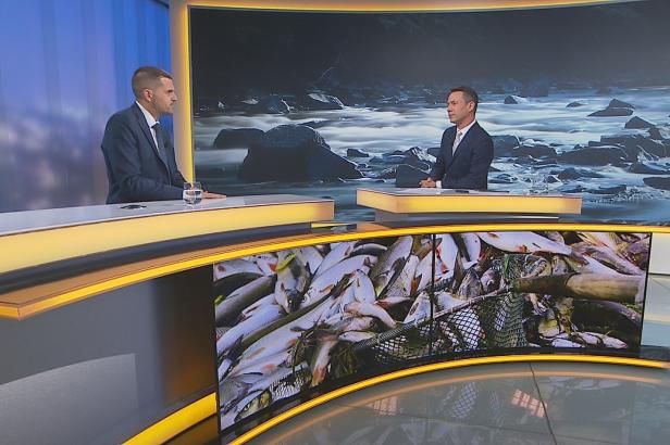 obrázek: Hladík o Bečvě: Soud rozhodl jako chytrá horákyně, moudrý z toho nejsem