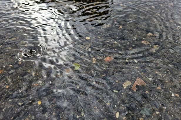 obrázek: Zmocněnec firmy Energoaqua v závěrečné řeči odmítl vinu za otravu Bečvy