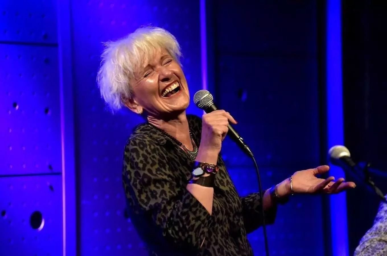 Hornoslezské obrazy na pomezí kultur