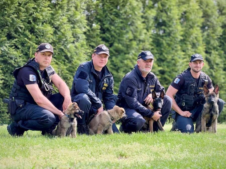 Budoucí policejní psi pro Moravskoslezský kraj: Fulla, Unir, Xilox a Ypex zahajují výcvik