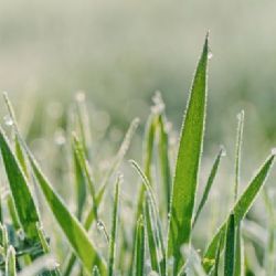 Extrémní výkyv počasí. Ráno na Šumavě mrzlo, odpoledne teploty vystoupaly k 36 °C