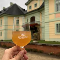Manětínské vinobraní 26. září v zámeckém parku. Novinkou vinná stezka a soutěž