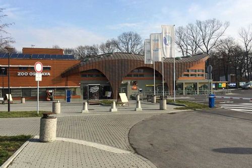 Foto: Nová naděje pro lvy indické v Ostravě: Příchod samice ze Švédska
