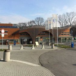 Nová naděje pro lvy indické v Ostravě: Příchod samice ze Švédska