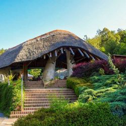 Nové ohrožené hroší mládě v jihlavské zoo se poprvé potápí a baví návštěvníky