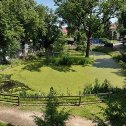 Nové Syrovice obnovují zámecké tůně. Projekt zlepší vodu i podmínky pro obojživelníky
