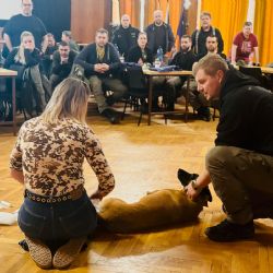 Padesát policejních psovodů trénovalo první pomoc pro služební psy