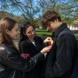 Plzeň zaplaví žluté kytičky. Studentky ZČU se přidají k Českému dni proti rakovině