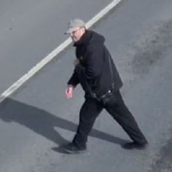Poznáte muže z kamer? Policie v Plzni pátrá po podezřelém z krádeže v domě