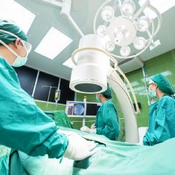 Průlom v medicíně - prasečí plíce úspěšně transplantována do člověka