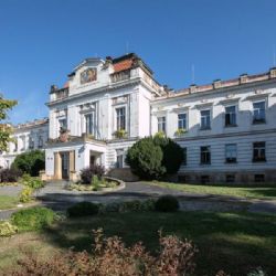 Psychiatrická nemocnice Bohnice vysvětluje omezené vstupy. Dva průchody mají zajistit bezpečí a klid pacientů