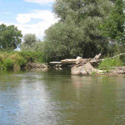 Řeka Opava: Divoká příroda mimo města, upravené koryto ve vesnicích