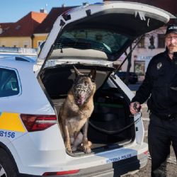Slaný rozšiřuje kamerový dohled. Městská policie pořídí mobilní kamery a obnovuje psovody