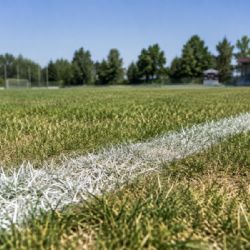 Sucho komplikuje údržbu sportovišť v jižních Čechách. Kluby šetří vodou a zalévají hlavně v noci