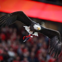 Benfica míří do Plzně! Viktoria spouští prodej balíčků na čtyři evropské bitvy