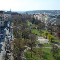 Karlovo náměstí: od Dobytčího trhu k největšímu náměstí v Česku