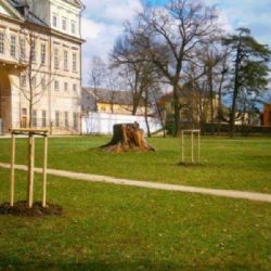 Kosmonosy dokončují obnovu zámeckého parku: přibyla grotta, vodopád i objevené pivovarské sklepy