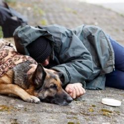 Skupina bezdomovců se přiotrávila na Anglickém nábřeží v Plzni, jeden byl resuscitován