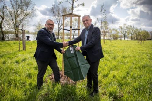 Foto: Pivovar Radegast zavlažuje stromy ve Frýdku-Místku