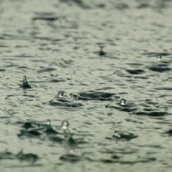Brno využije dešťovou vodu. S řešením pomůže studie