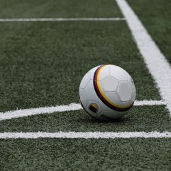Sportovní kluby a oddíly v Moravskoslezském kraji dostanou finance na příští rok hned počátkem roku