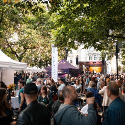 Do centra Plzně míří jarní festival vína. Přiveze desítky vinařství i večerní koncerty