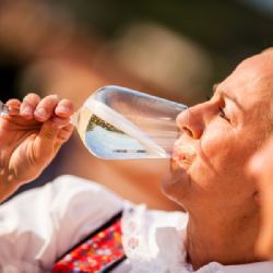 Jižní Morava žije v září vínem. Vinobraní nabídnou Mikulov, Znojmo, Uherské Hradiště i Velké Pavlovice