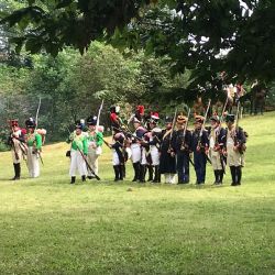 Křimický park obsadí Napoleonovi vojáci. Dorazí koně, děla i historický tábor