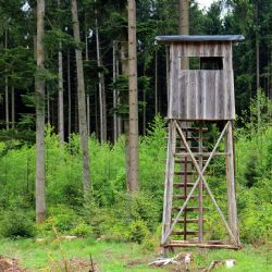 Kuriózní žaloba na starostu Kopidla skončila. Soud ho osvobodil v kauze „ukradených“ posedů