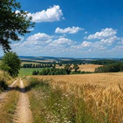 Na Vysočině vrcholí vlna veder. Na Jihlavsku může být až 38 °C, hrozí bouřky i zvýšené riziko požárů