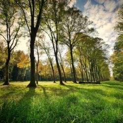 Plzeň revitalizuje lochotínský park - nové záhony a tůňka 