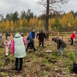 Plzeň zve na Den pro les. U Boleváku budou dobrovolníci sázet tisíce stromků