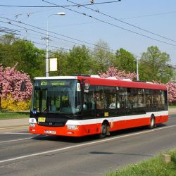 Plzeňské autobusy míří do Charkova. Místo šrotu dostanou druhý život na Ukrajině