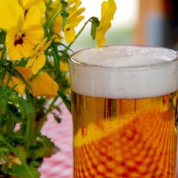 Slavte s Pilsner Urquell v srdci Prahy