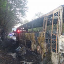 U Malšína se na silnici II/160 čelně srazil motocykl s autobusem. Motorkář zemřel, autobus shořel
