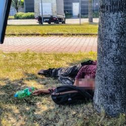 V horku rozhodují minuty. Plzeňský případ ukázal, proč neignorovat člověka na zemi