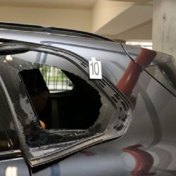 Vylezl z vězení a hned udeřil. V plzeňských garážích napáchal škodu za stovky tisíc