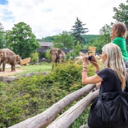 Zoo Praha nabízí prázdninovou podvečerní vstupenku za 100 Kč, platí denně mezi 17:00 a 19:00